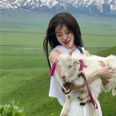 七人乐队粤语